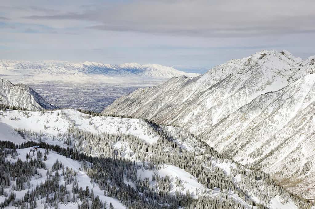 Piccolo Cottonwood Canyon