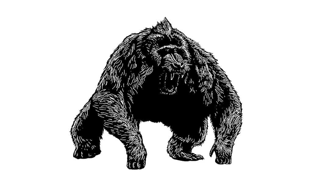 Dinopiteco 