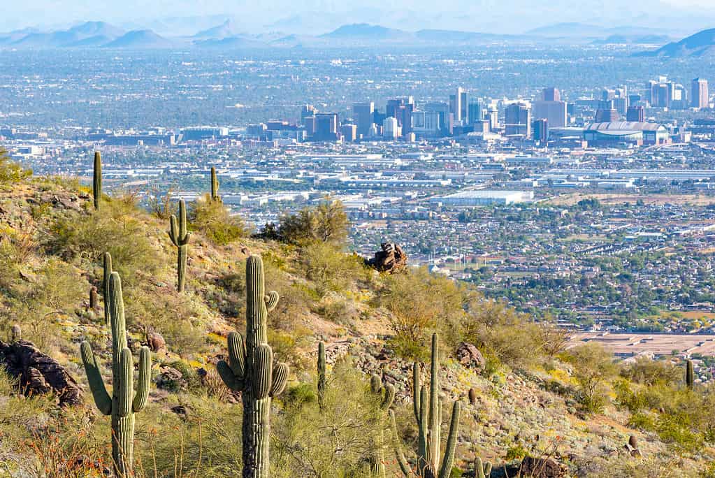 Phoenix è la capitale dell'Arizona