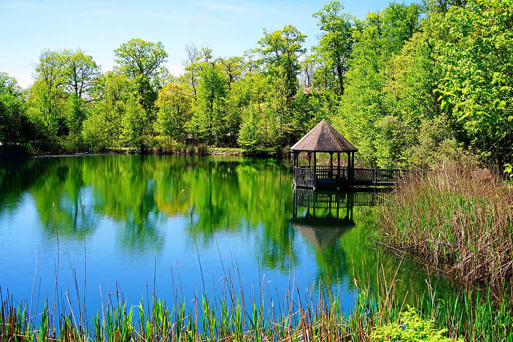 Parco statale Norvin Green