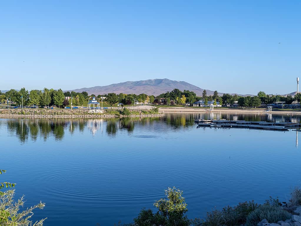 Scintille Marina Park