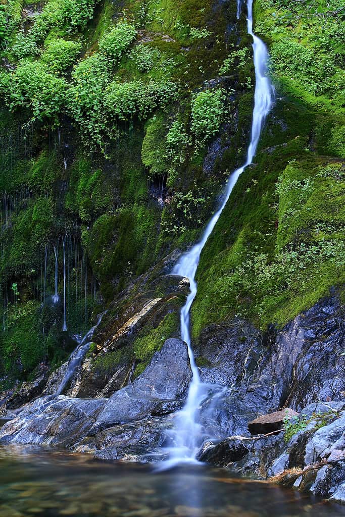 Cascate del Cooper Canyon a Los Angeles - Buche per nuotare vicino a Los Angeles