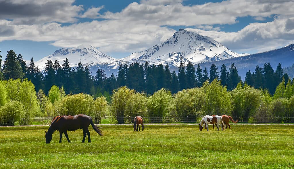 L'Oregon ha una geografia varia