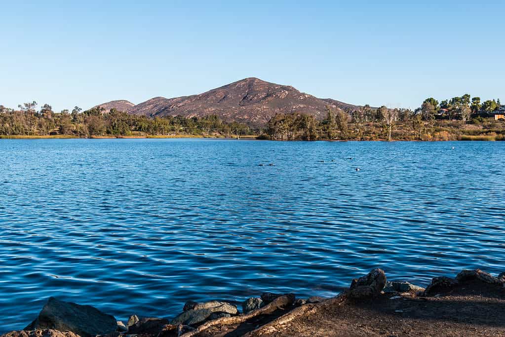 Lago Murray a San Diego - Buche per nuotare vicino a San Diego