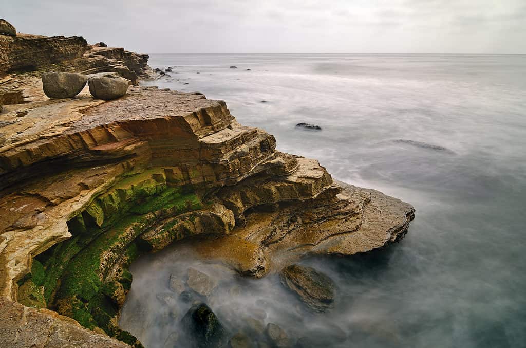 Point Loma Tide Pools a San Diego, California - Fori per nuotare vicino a San Diego