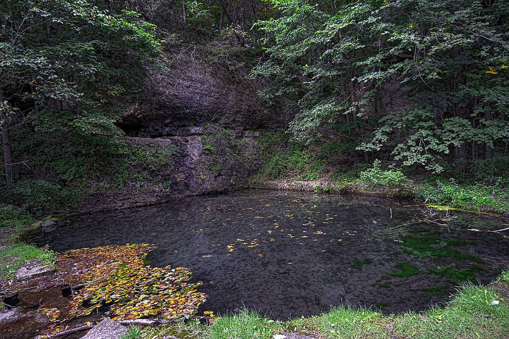 Richmond Springs