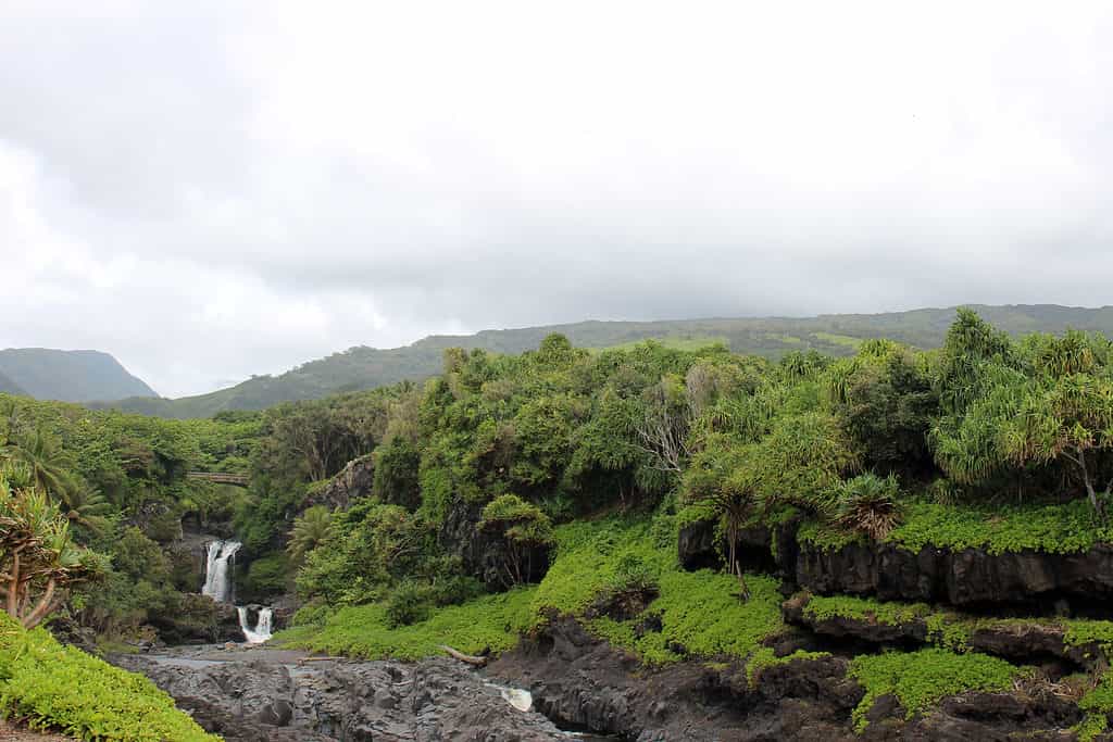 O'heo Gulch