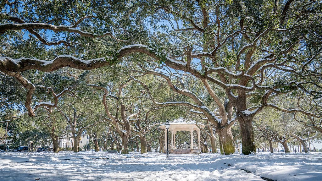 Un Gzebo a Charleston, nella Carolina del Sud, durante l'inverno