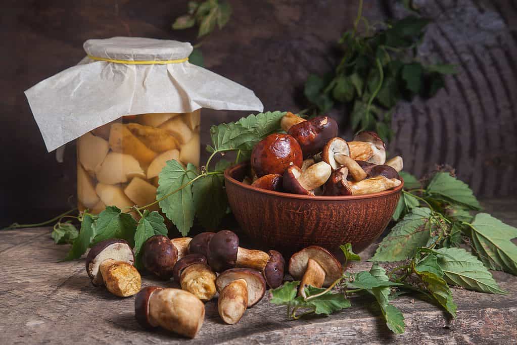 Funghi porcini in cesto e barattolo
