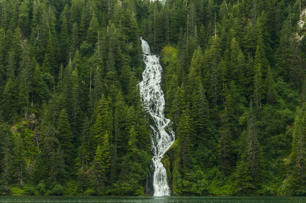 Tongass National Forest, Alaska - Stato USA, Baranof Island, 2015, Arcipelago Alexander