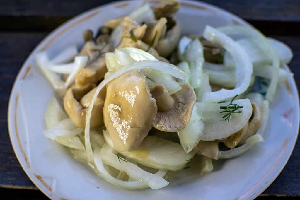 Funghi Russula saltati con cipolle ed erbe aromatiche