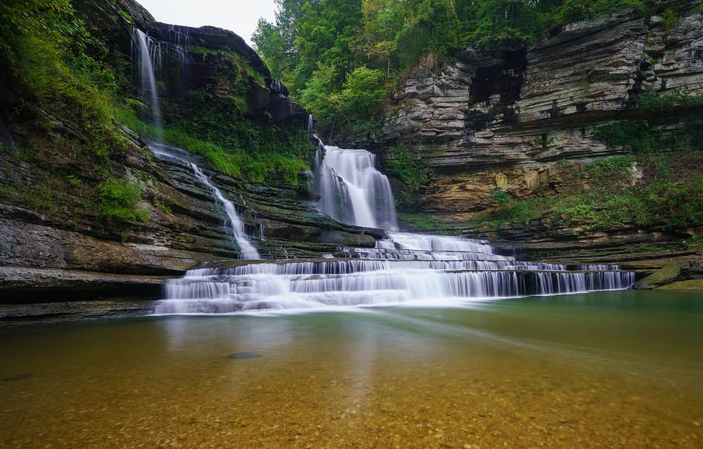 Cummins Falls, Fori Nuoto Tennessee
