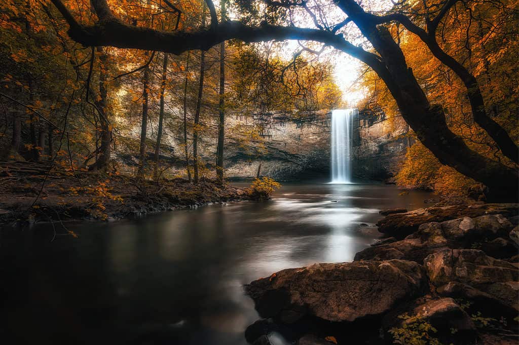 Foster cade a Sequatchie, Tennessee, Tennessee Swimming Holes