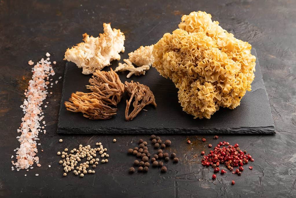 fungo di cavolfiore sul tagliere con spezie
