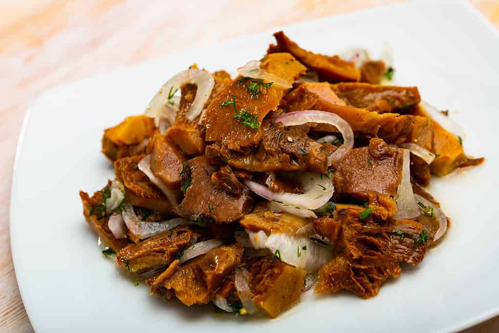 Piatto di funghi di pino rosso in salamoia