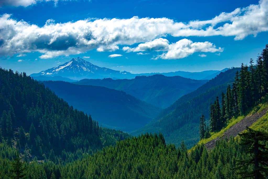 Vista della valle di Willamette