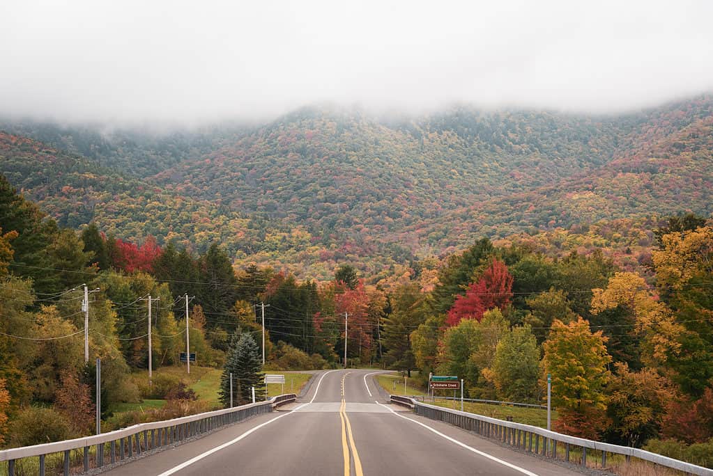 Strada che conduce a Catskills Mountains, NY