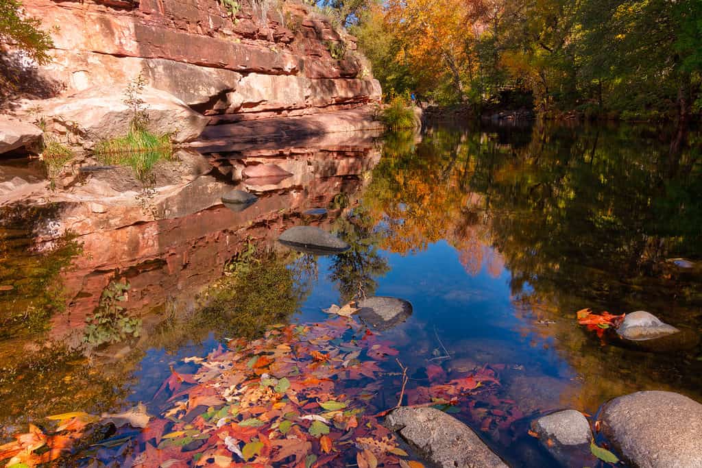 Grasshopper Point, fori di nuoto dell'Arizona