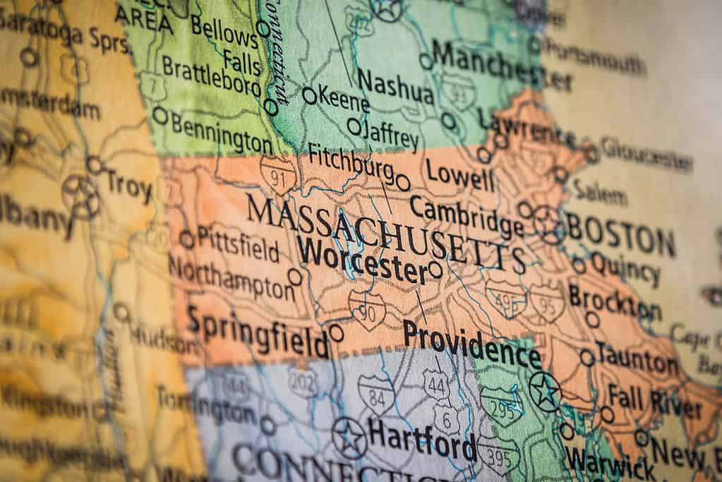 Gli animali più veloci del Massachusetts