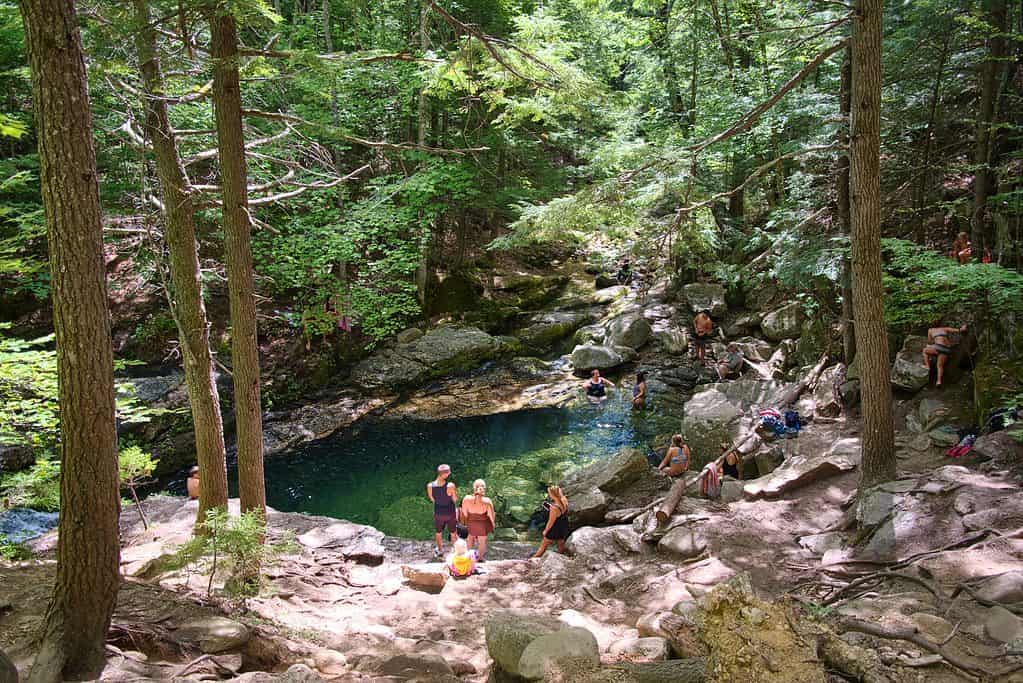 Piscina di serpenti a sonagli, Maine
