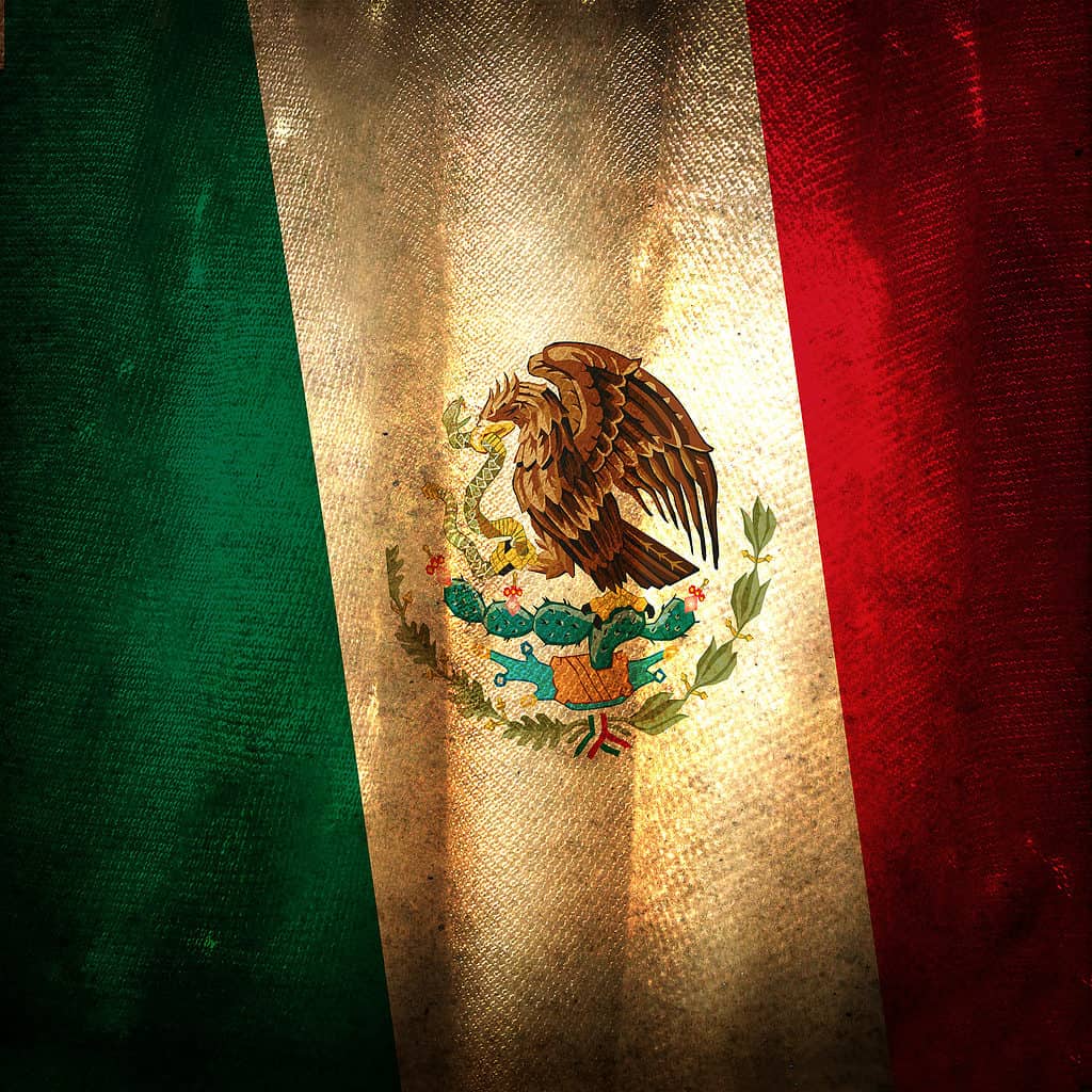 La bandiera del Messico