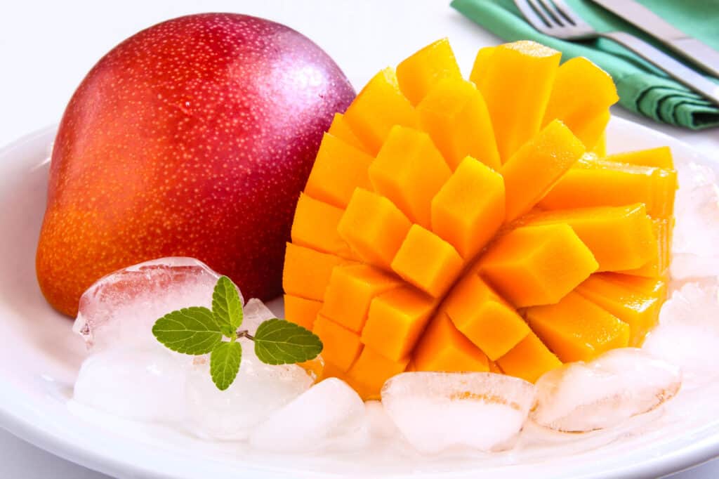 Prefettura di Miyazaki in Giappone/ Mango