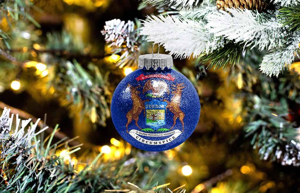 Natale del Michigan