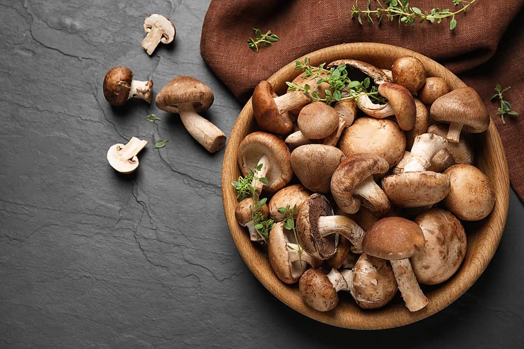 Funghi Shiitake in una ciotola con le erbe