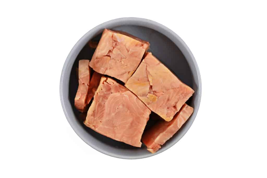 salmone in una ciotola per cani