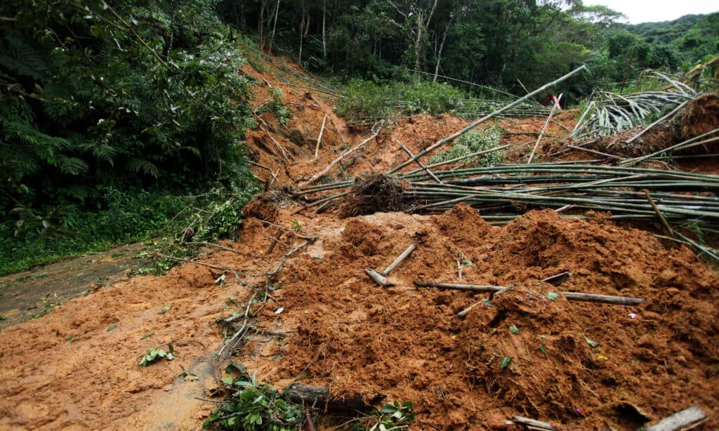Frana e alberi bloccano una strada