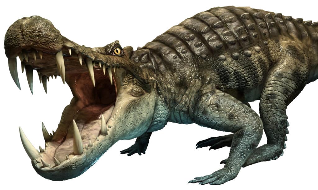 Kaprosuchus