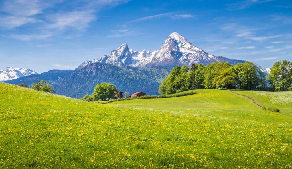 Alpi europee