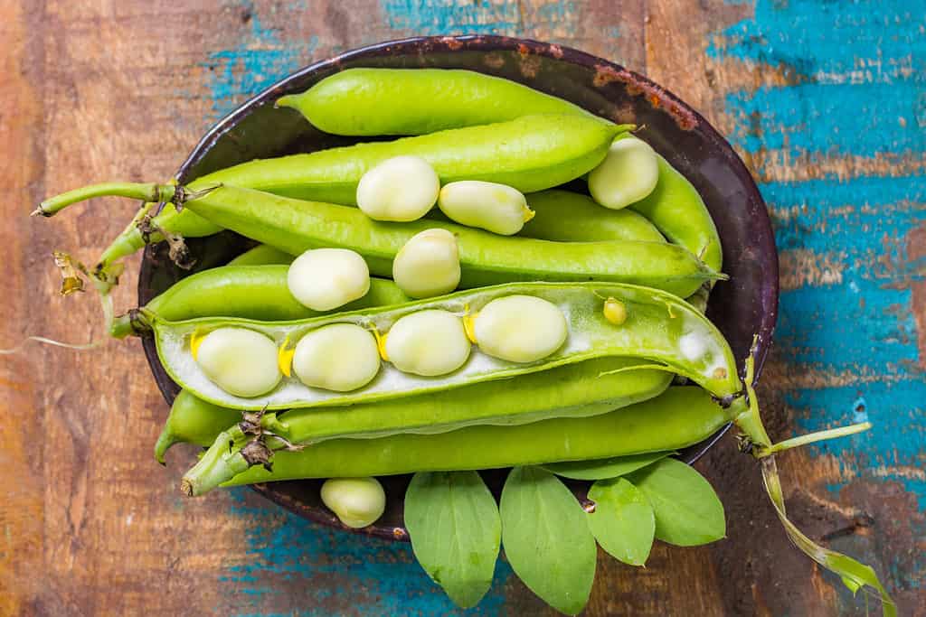 Fagioli di Lima freschi e grandi in una ciotola marrone.