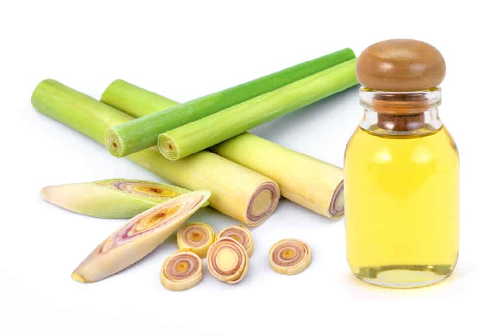 Citronella