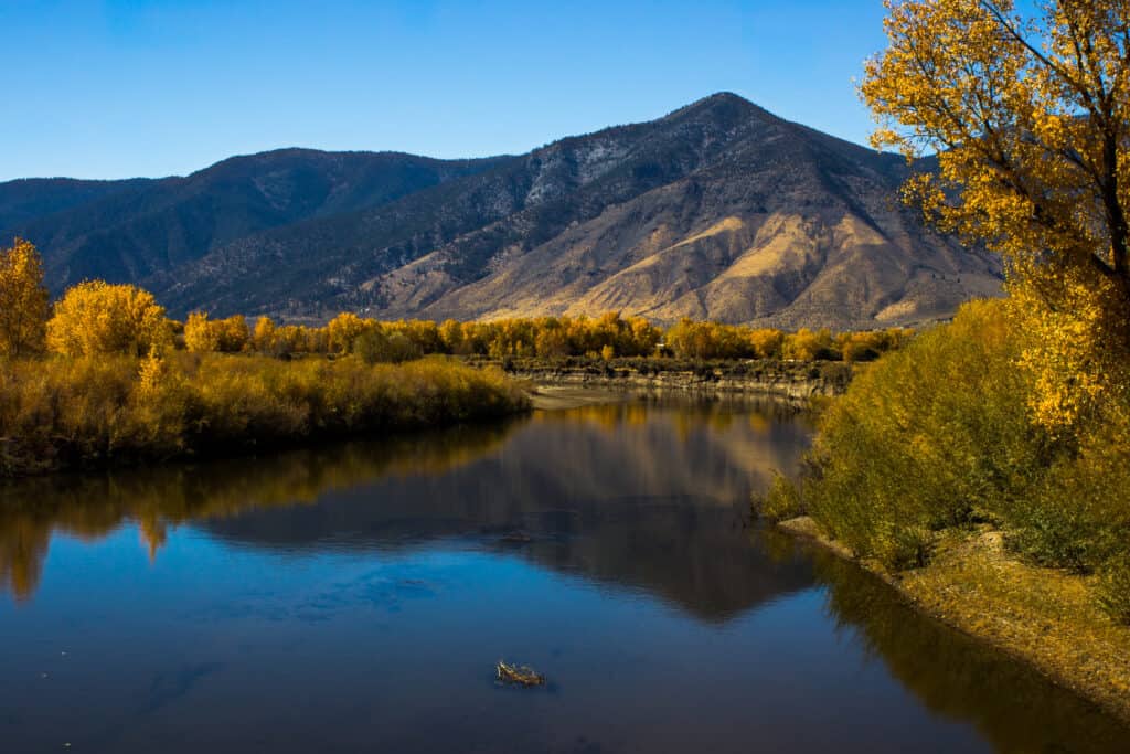 Riflessione di colori di caduta in Carson River, Nevada