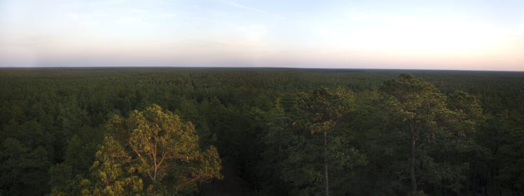 Wharton State Park nel New Jersey