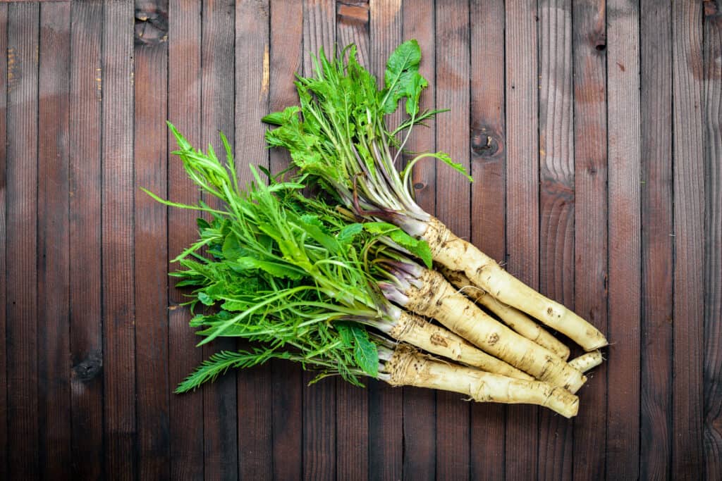 verde brillante lascia le prime sei radici di rafano disposte su doghe di legno marrone scuro.
