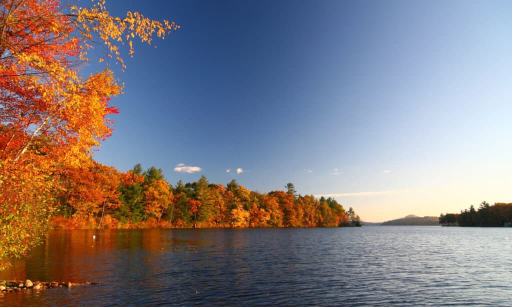 Fogliame autunnale dal lago Dunmore nel Vermont