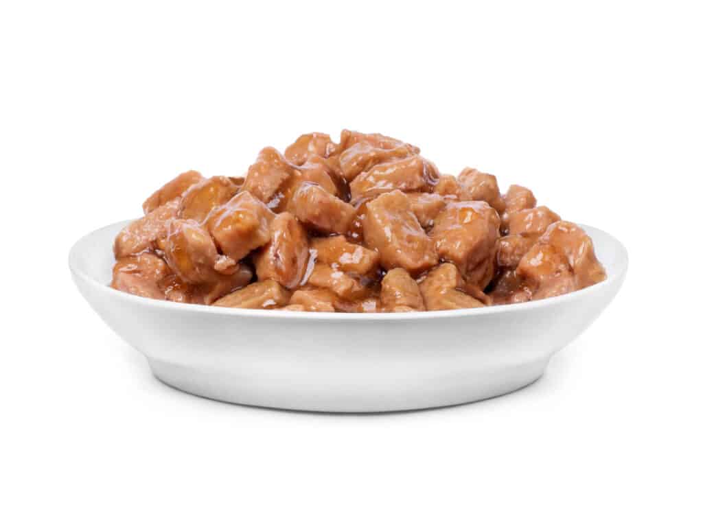cibo per gatti