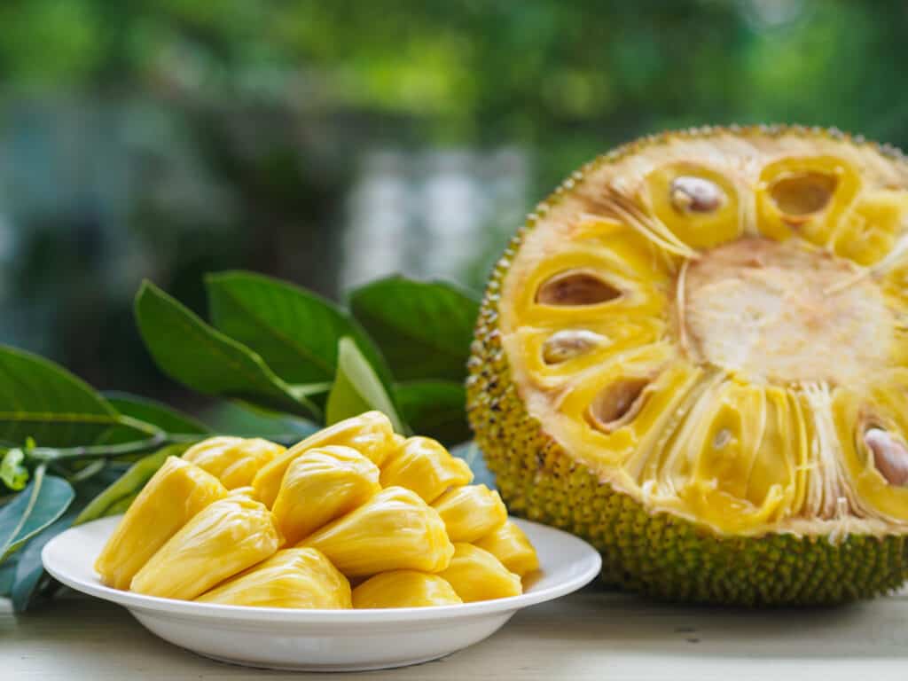 Jackfruit tagliato a metà, in modo corto, esponendo semi e polpa, con pezzi di polpa del frutto su un piatto accanto