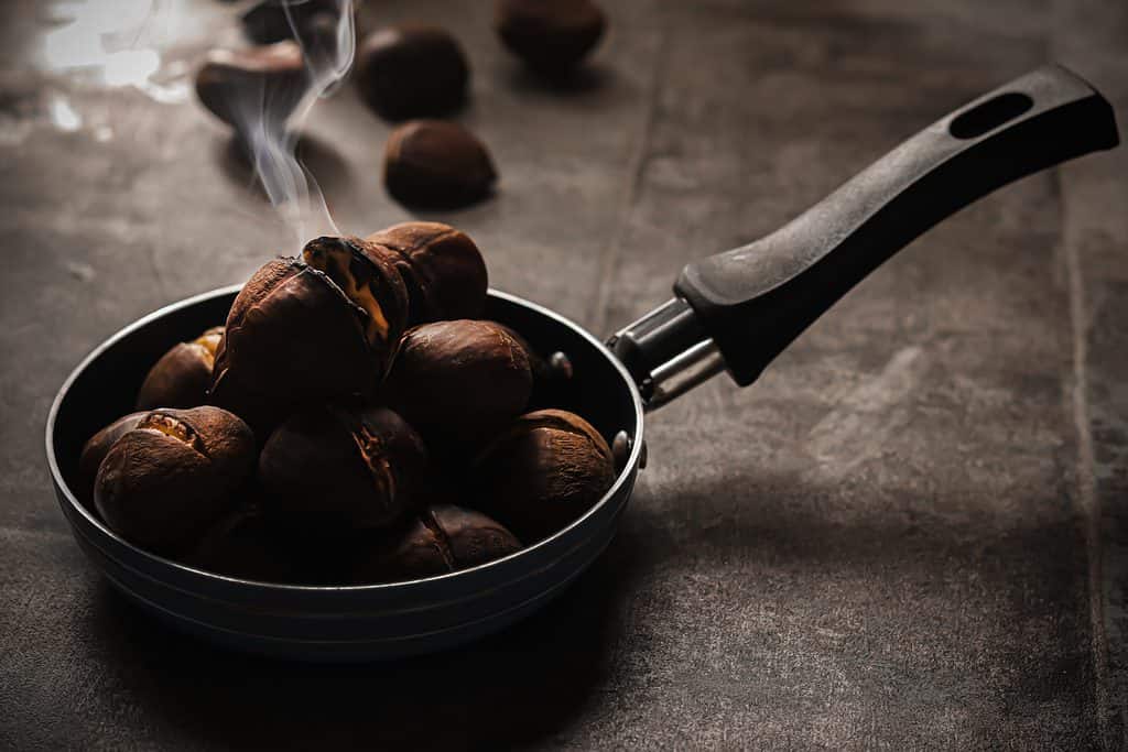 Castagne Cotte