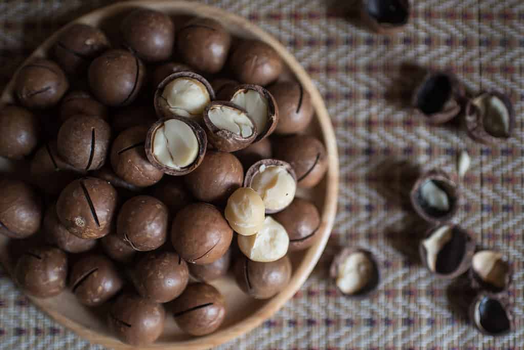 Noci di macadamia