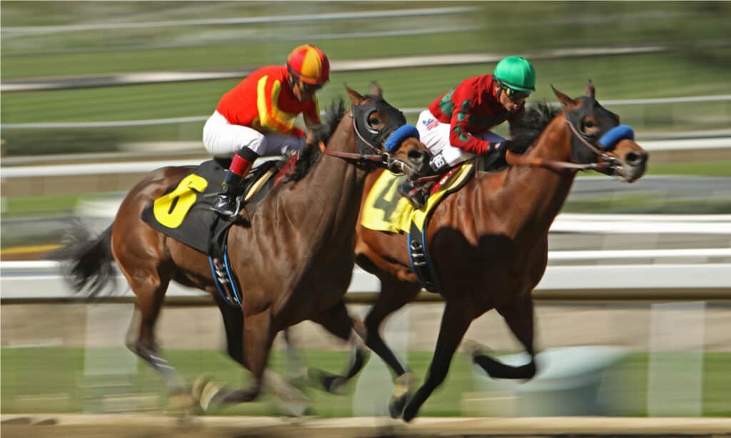 cavallo da corsa più veloce