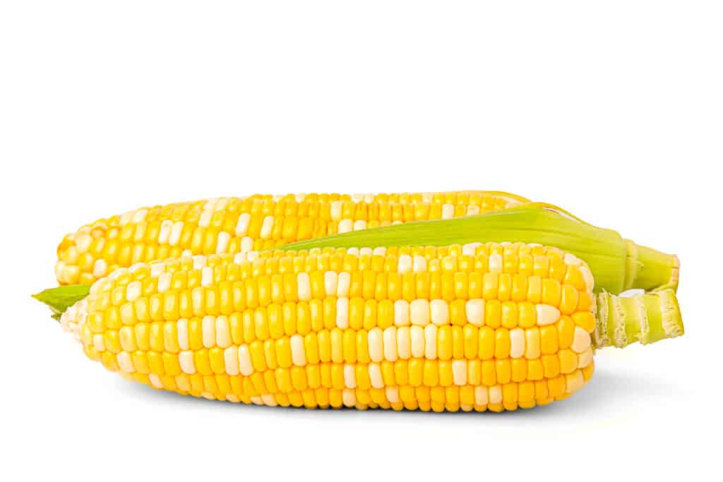 Telaio completo di cereali di mais.