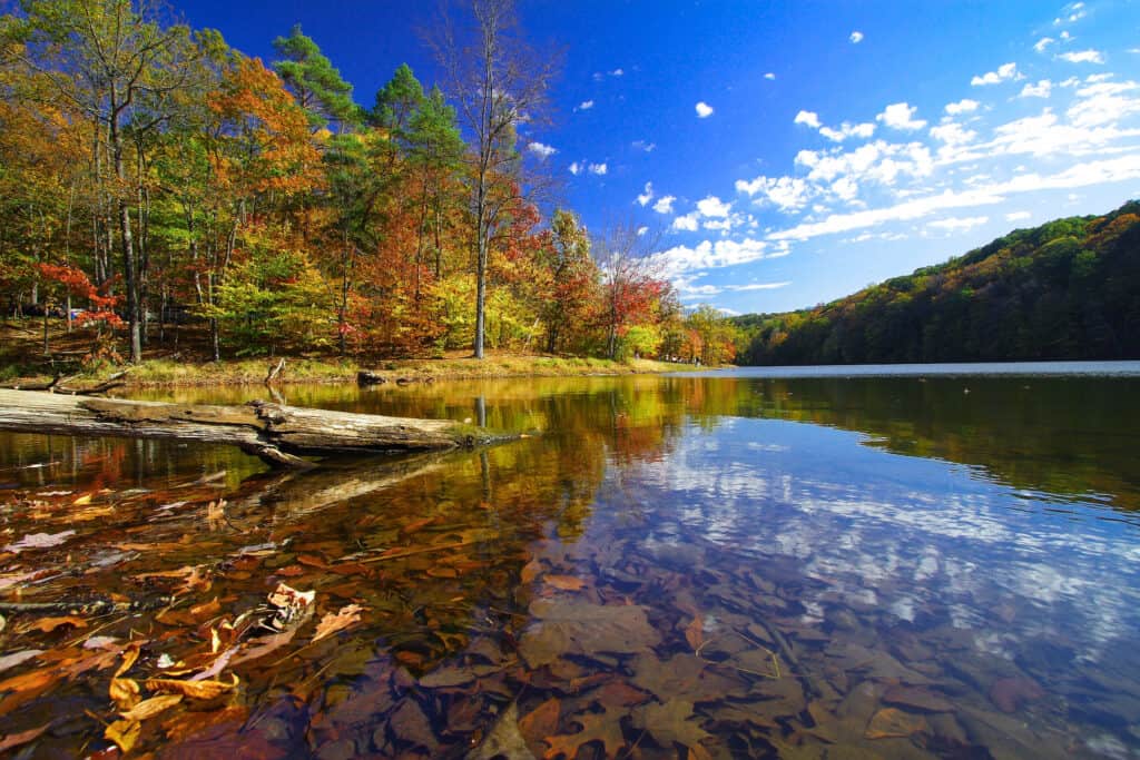 Il County State Park nell'Indiana è l'ideale per il campeggio con tutta la famiglia.