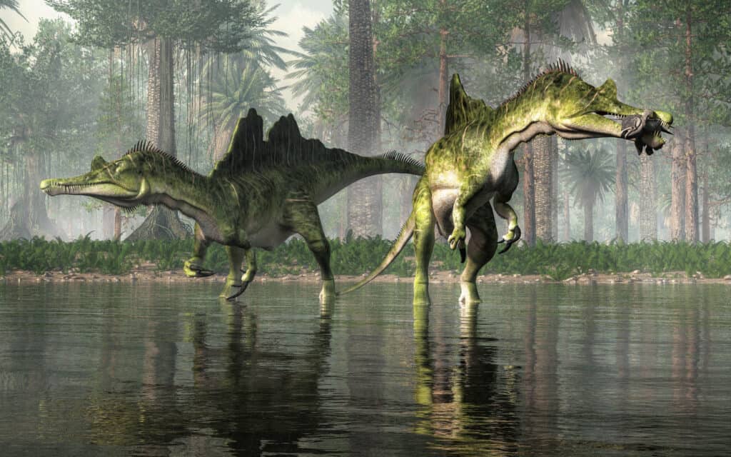 Spinosauri