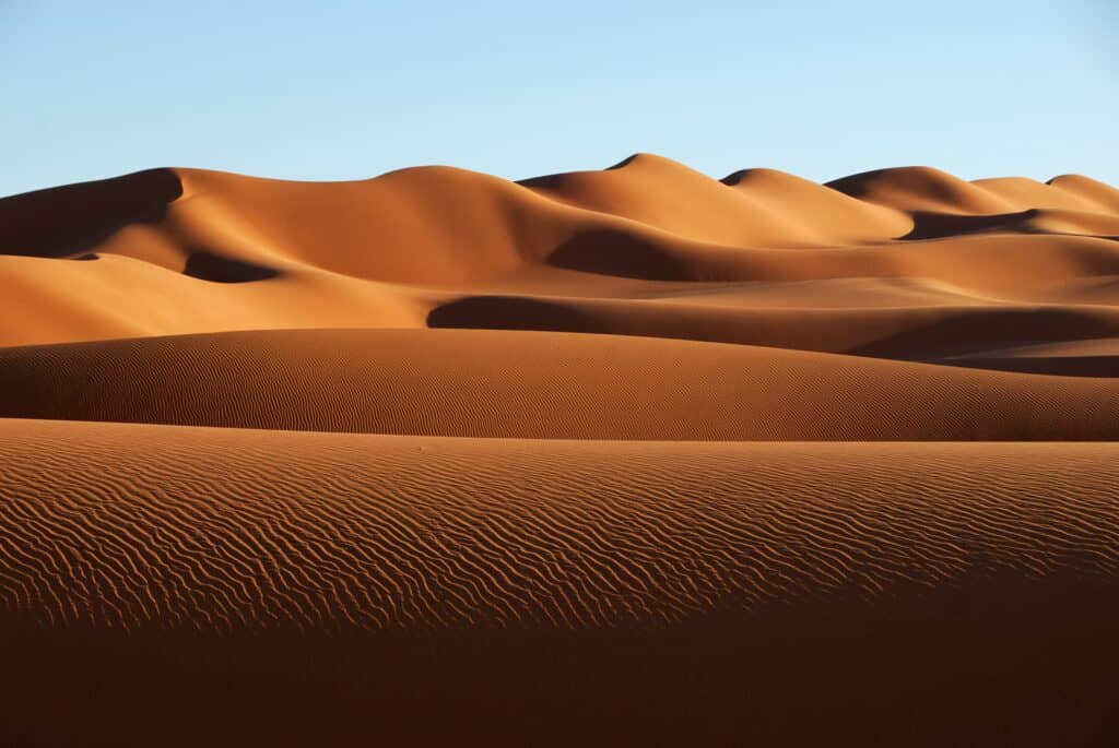 Si ritiene che il Paleophis abbia vissuto nel luogo dell'attuale deserto del Sahara.