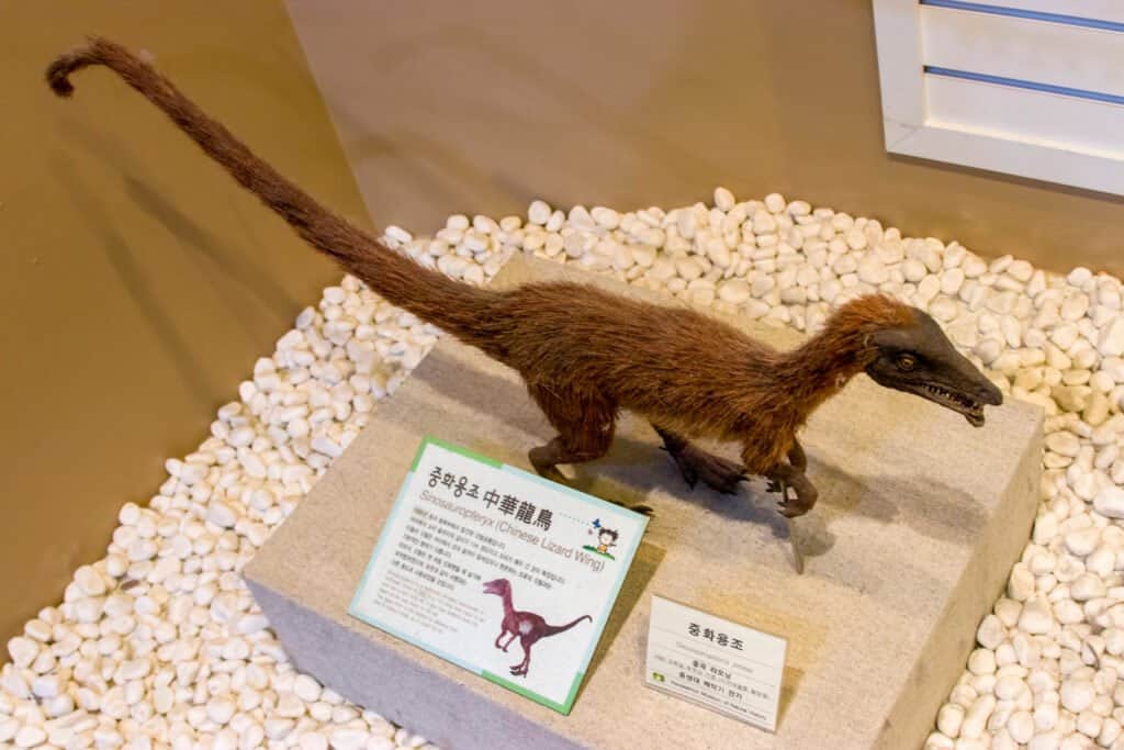 Replica di Sinosauropterige