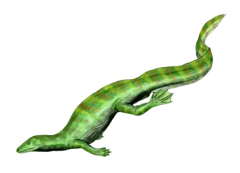 Hovasauro
