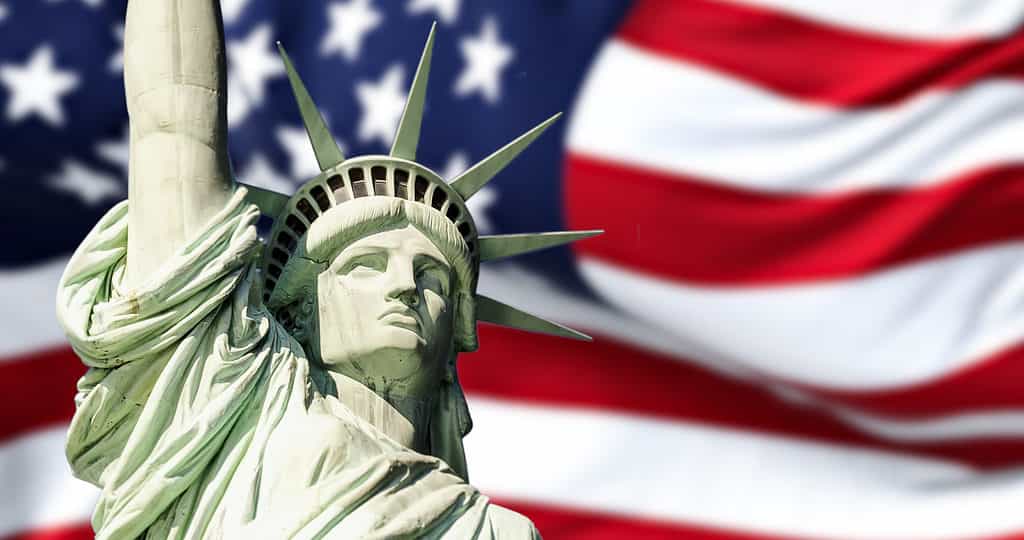 Statua della Libertà e bandiera americana